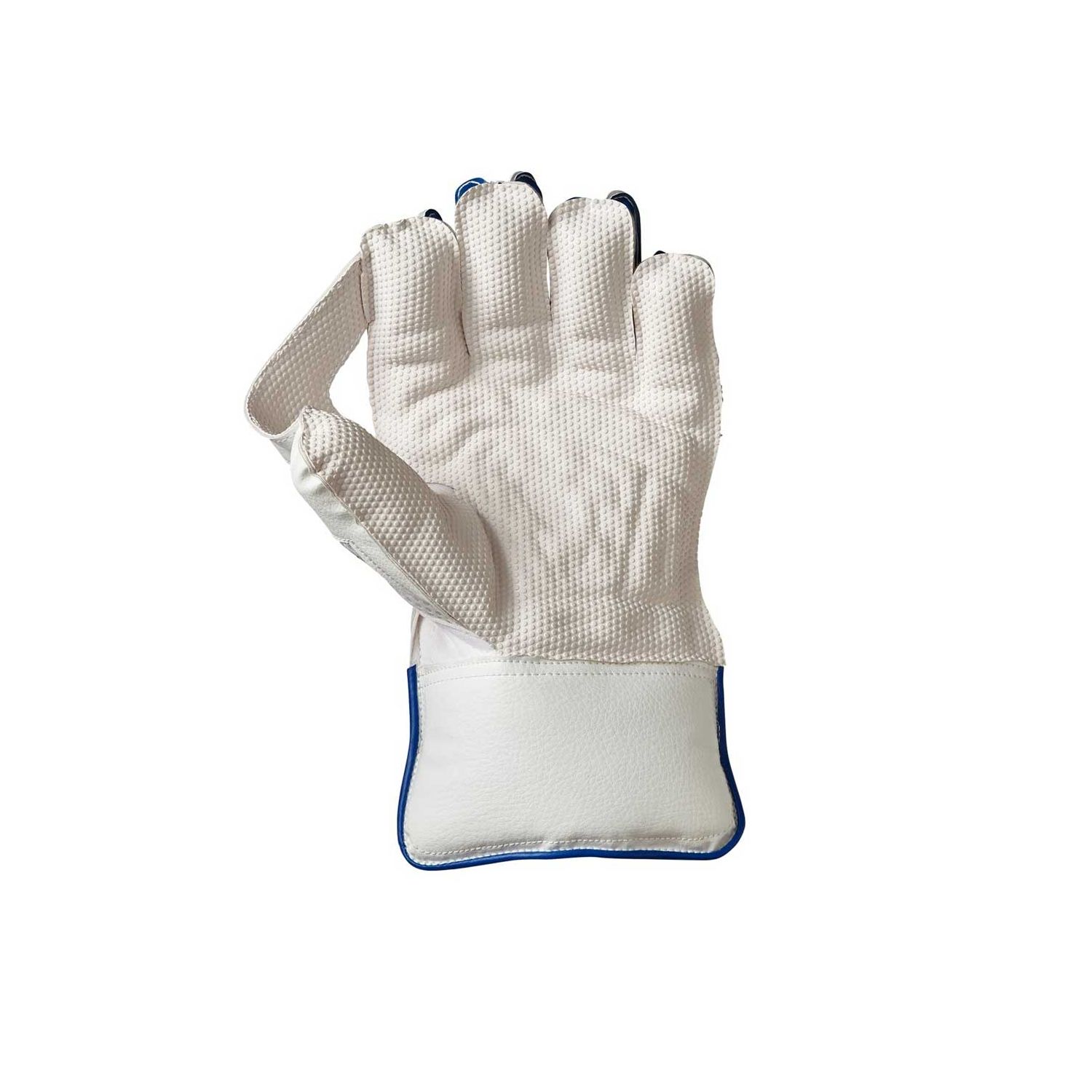 Siren Wicket Keeping Gloves