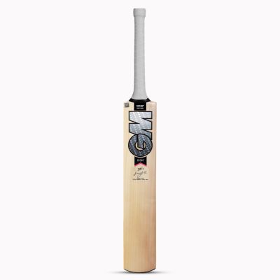 Icon 101 Kashmir Willow Cricket Bat