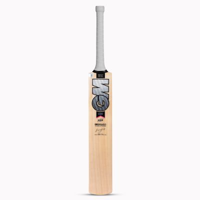 Icon 202 Kashmir Willow Cricket Bat