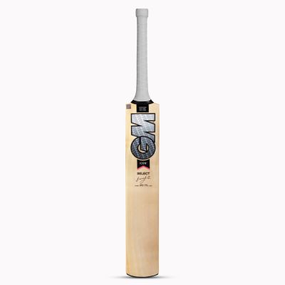 Icon Select Kashmir Willow Cricket Bat