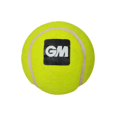 Light Cricket Balls