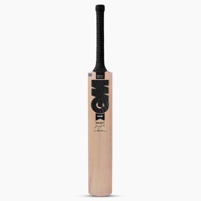 Noir Select Kashmir Willow Cricket Bat